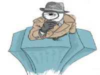 洮北区取证公司解说第三者承担离婚赔偿责任吗